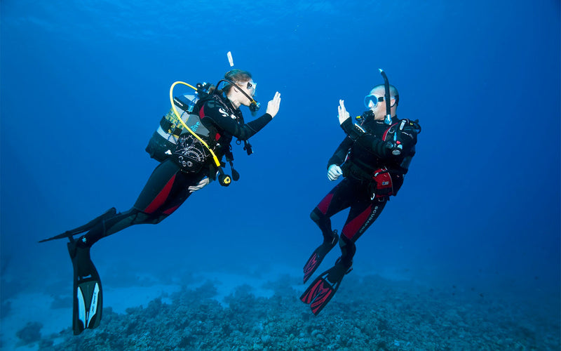 Two Divers Private Open Water