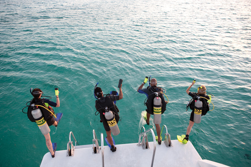Divers jumping off boat