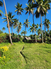 Fiji at Beqa Lagoon Resort