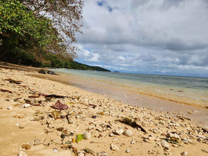 Fiji at Beqa Lagoon Resort