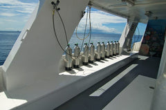 Philippines Atlantis Resorts & Liveaboard July 5-12, 2025 - Atlantis Azores Visayas Safari