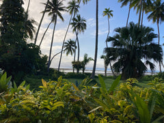 Fiji at Beqa Lagoon Resort