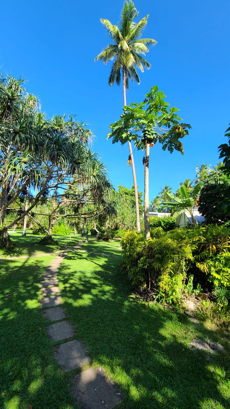 Fiji at Beqa Lagoon Resort