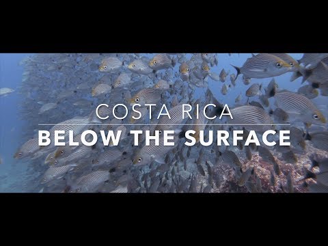 Costa Rica - Beach, Volcano, & Rainforest Adventure!