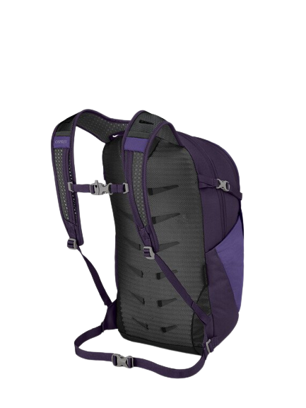 Osprey Daylite Plus Backpack Osprey Daylite Plus Backpack