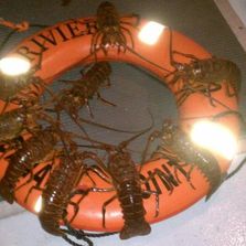 Lobster Dive